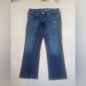 American Eagle Outfitters Blue Straight Leg Denim Jeans Sz 6